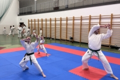 ABiRO-Szkolenie-2025-33