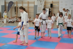ABiRO-DMK-2025-029