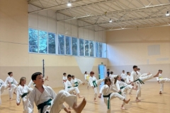 ABiRO-SKCAMP-2025-005