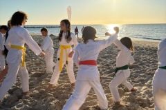 ABiRO-SKCAMP-2025-041