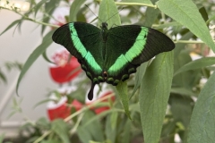 ABiRO-SKCAMP-2025-063