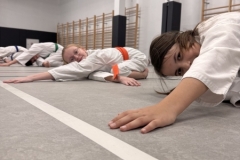 ABiRO-WKC-2025-13