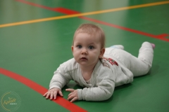 ABiRO-Family-2025-05