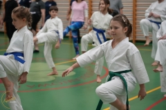 ABiRO-Family-2025-08