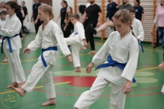 ABiRO-Family-2025-09