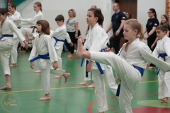 ABiRO-Family-2025-10