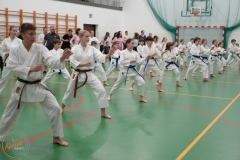 ABiRO-Family-2025-27