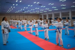 ABiRO-KDPUKT-2026-08