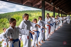 ABiRO-KDPUKT-2026-10
