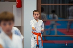 ABiRO-KDPUKT-2026-16