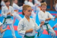 ABiRO-KDPUKT-2026-23