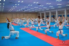 ABiRO-KDPUKT-2026-39