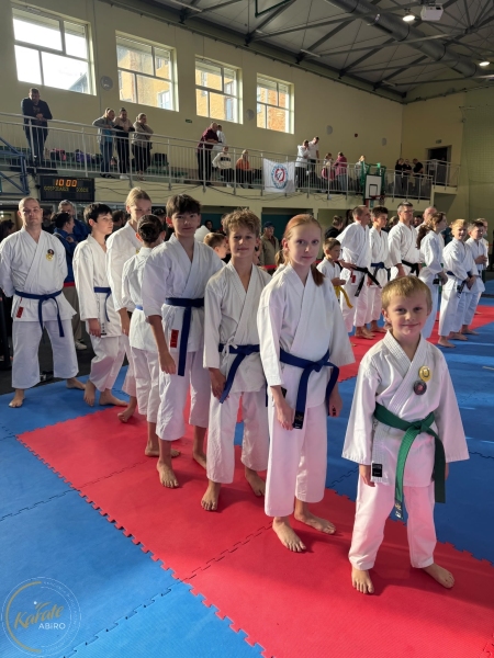 ABiRO-RCUP-2026-17