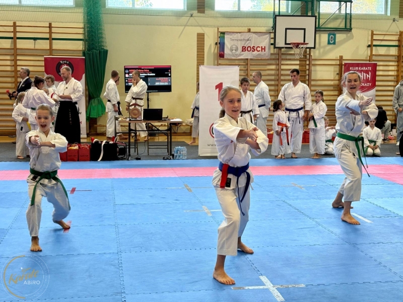 ABiRO-RCUP-2026-20