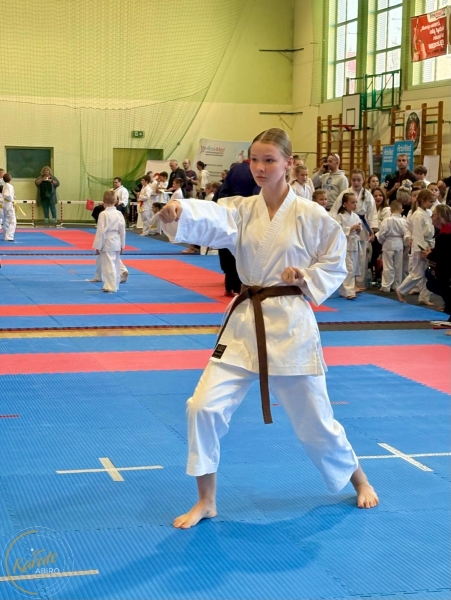 ABiRO-RCUP-2026-21