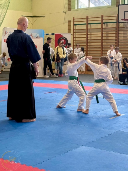 ABiRO-RCUP-2026-23