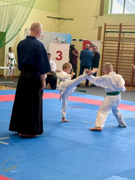ABiRO-RCUP-2026-24