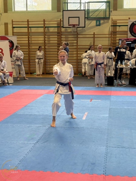 ABiRO-RCUP-2026-29