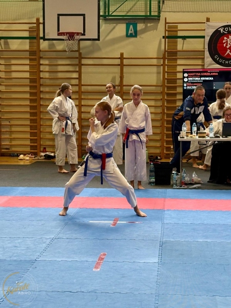 ABiRO-RCUP-2026-30