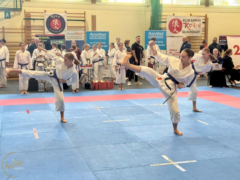 ABiRO-RCUP-2026-31