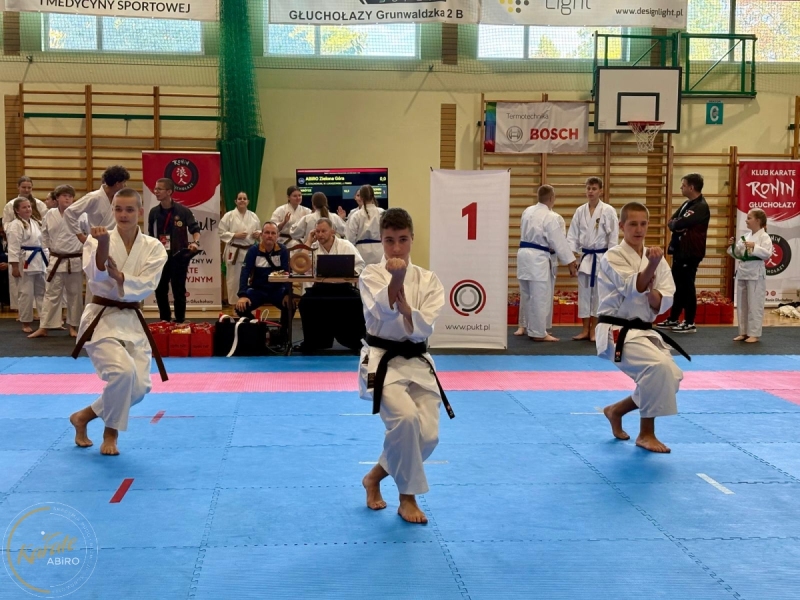 ABiRO-RCUP-2026-41