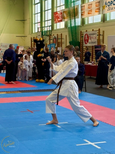 ABiRO-RCUP-2026-45