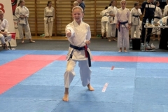 ABiRO-RCUP-2026-29