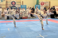 ABiRO-RCUP-2026-31