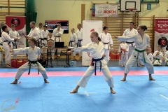 ABiRO-RCUP-2026-46
