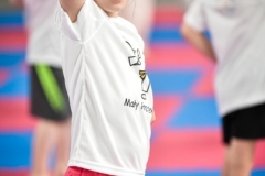 Maly_Karateka_2026-119