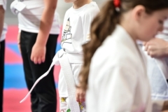 Maly_Karateka_2026-365