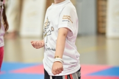 Maly_Karateka_2026-405