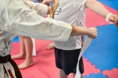 Maly_Karateka_2026-420