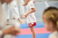 Maly_Karateka_2026-495
