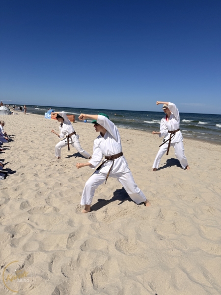 ABiRO-SKCamp-2026-104