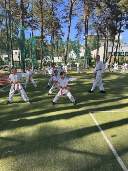 ABiRO-SKCamp-2026-119
