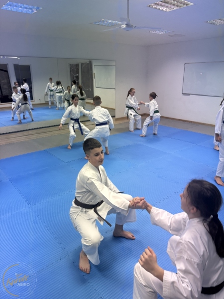 ABiRO-WKCAMP-2026-003