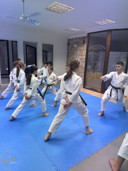 ABiRO-WKCAMP-2026-004