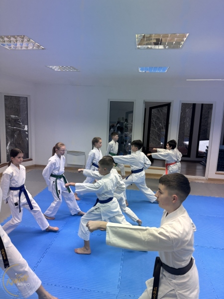 ABiRO-WKCAMP-2026-006