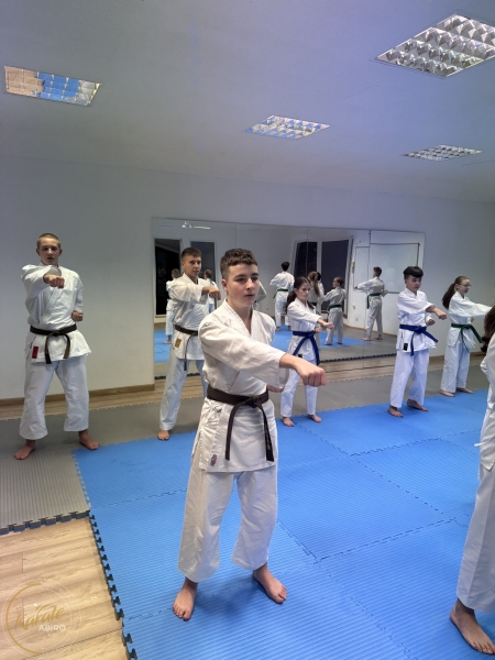 ABiRO-WKCAMP-2026-008