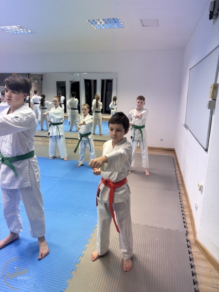 ABiRO-WKCAMP-2026-010