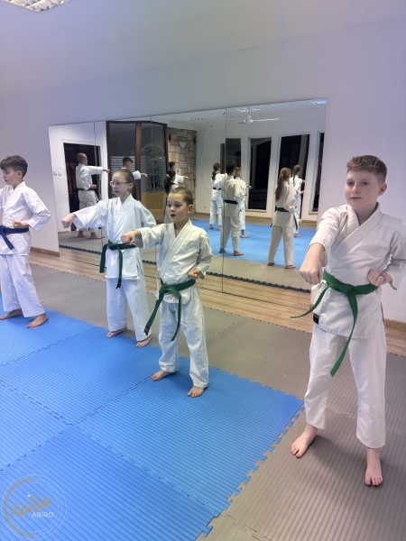 ABiRO-WKCAMP-2026-011