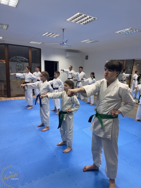 ABiRO-WKCAMP-2026-013