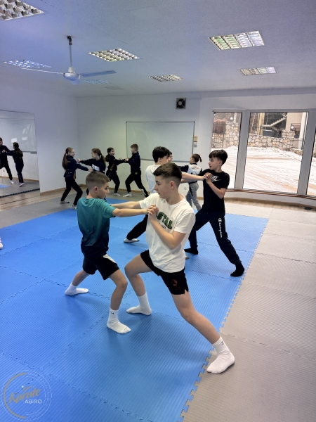 ABiRO-WKCAMP-2026-020