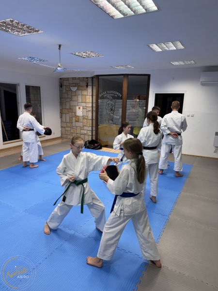 ABiRO-WKCAMP-2026-051
