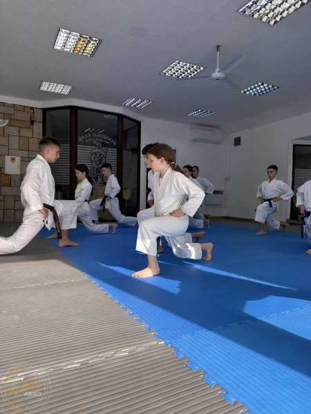 ABiRO-WKCAMP-2026-094