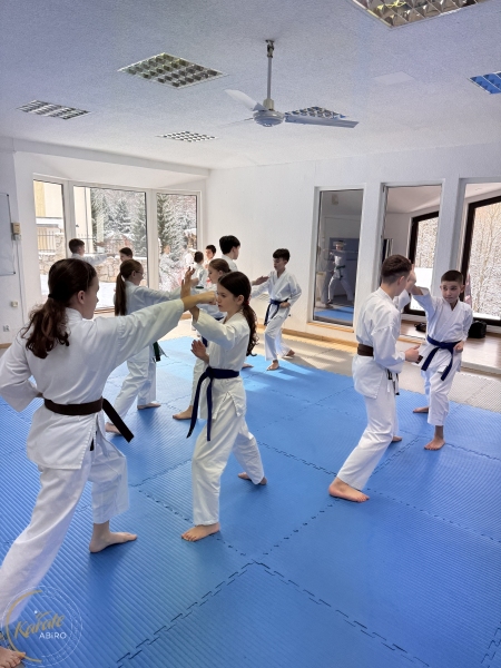 ABiRO-WKCAMP-2026-095