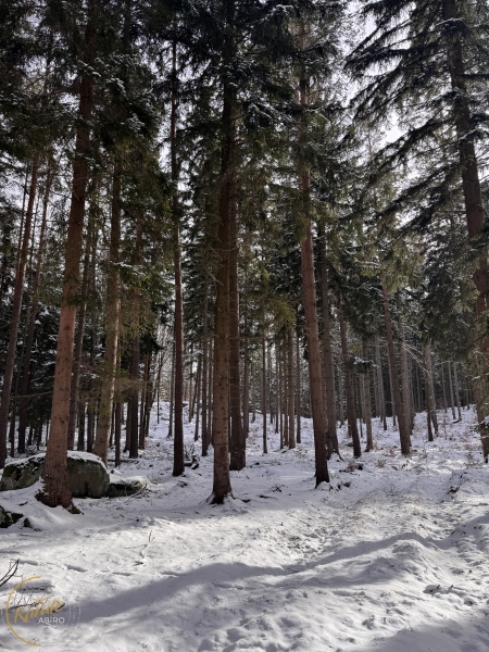 ABiRO-WKCAMP-2026-116
