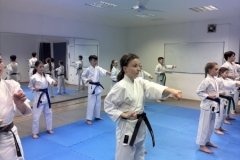 ABiRO-WKCAMP-2026-009