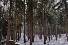 ABiRO-WKCAMP-2026-116